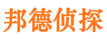 湛河市私家侦探